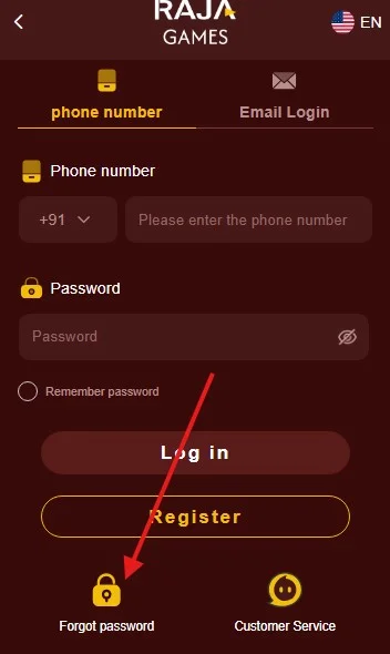 Click on forgot password option
